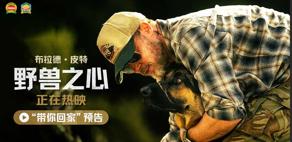 布拉德·皮特新片《野兽之心》今日上映 人犬情深奋力寻找回家之路
