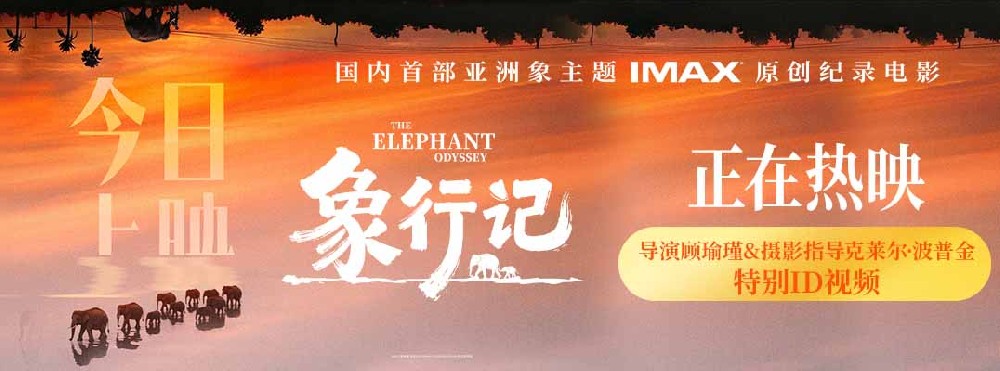 纪录电影《象行记》今日上映，奔赴雨林聆听生命回响
